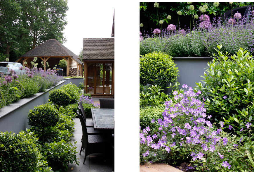 greencube garden design use our favourite geranium in our tunbridge wells, kent garden to colourfully fill planting gaps